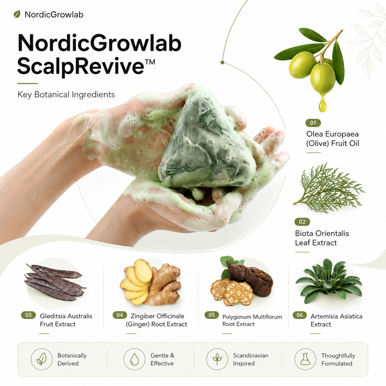 Koreansk ScalpRevive™ – Hår- & Hårbottenbar Steg 1