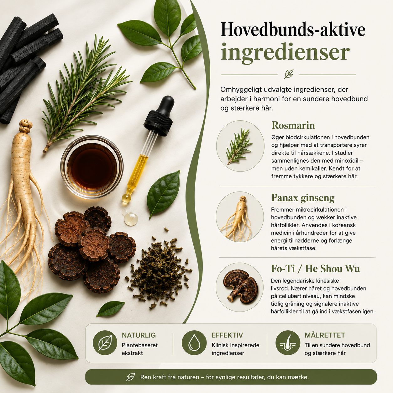 Koreansk ScalpRevive™ – Hår - & hovedbundsbar Trin 1